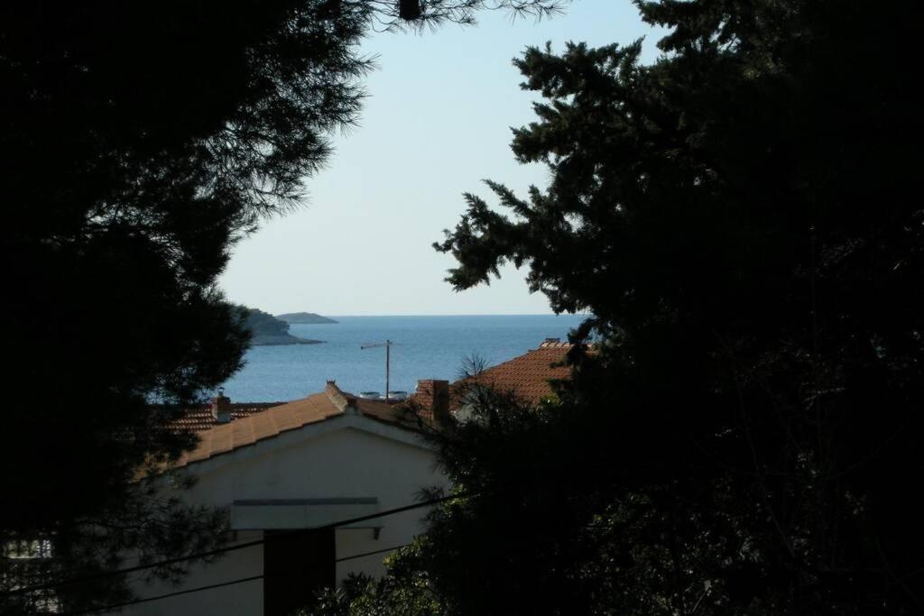 Whole Villa In Primosten Bagian luar foto